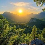 abdulhadi_5304