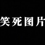 shenpingsouchaguan