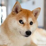 daxiaofenxiangguan