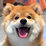 xiaoheidebiji