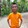 bili_1220270464