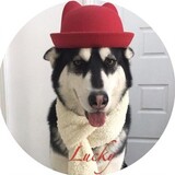 erhalucky