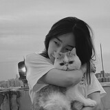 heaihai