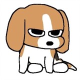 bingg______zhangzm