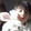 changchanghao