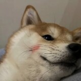 renjianwupieshiren