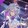 castorice-xiadie-