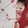yueyingya-