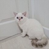 นาเดียร์ชื่อสมมุติ