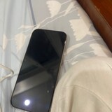 Toàn thắng Nguy_7358