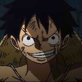 Luffy'sBeloved