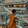 Sleepy Novice Monk