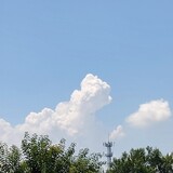 milumilumilumilu