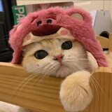 miaomemehuiyilu