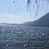 wangshunfengqu