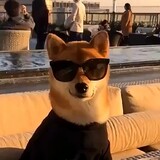 dcqian
