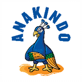 AnakIndo Academy