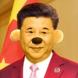 XiJinping