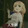 nidefeihua-