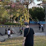 nanzhuangy___iusuo