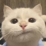 dongwu007