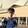 _donahue_