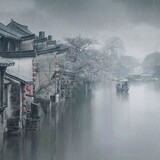 zhongnianchaojia