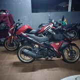 Bronko79