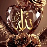 The Halal Mindset