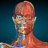 Medical 3D