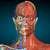 Medical 3D