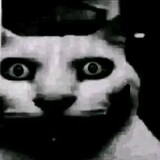 NiNOoo!!