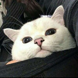 yuquanxiao___mi