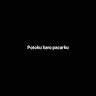 donghua_id