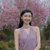 houmengdiesissi