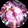 wangzhicai_maple
