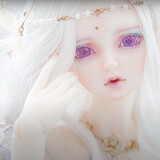bjdpindao