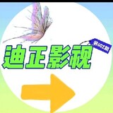 dizhengyingshi