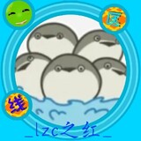 _lzczhihong_