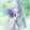 ยู×มิกะ