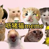 lizhu___meme