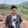 Lihabao