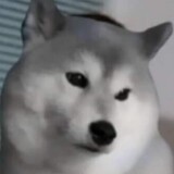 uuzさん