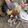 Joriz Aranjuez_6928