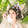 muxueyukiki