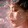 Thanh thuy Nguy_4594