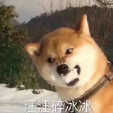 wangwangsuibingbingo
