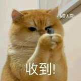 lijiewansui_dililili