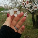 moonflower14