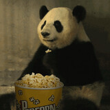 Pandaaichigua